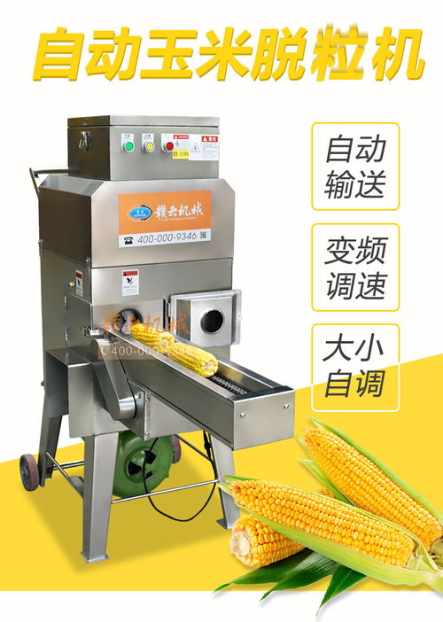 食品级不锈钢玉米脱粒机 鲜玉米自动剥粒的高效出入库解决方案
